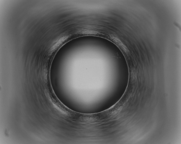 X0000096400533200801311353