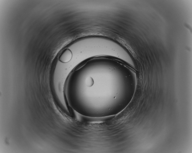 X0000096400534200801311353