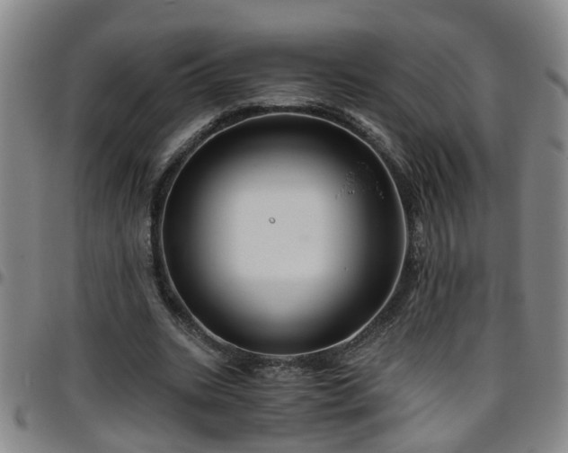 X0000096400535200801311353