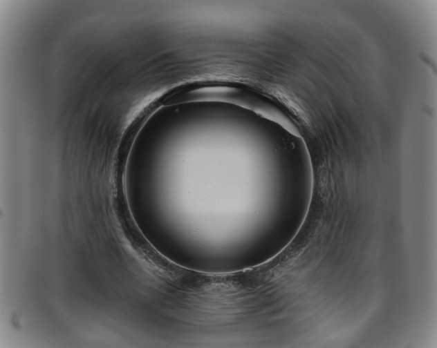 X0000096400536200801311353