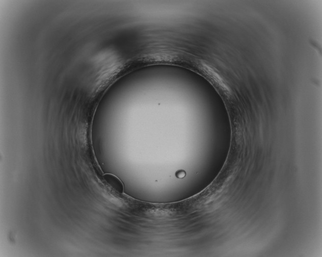 X0000096400537200801311353