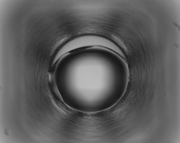 X0000096400538200801311353