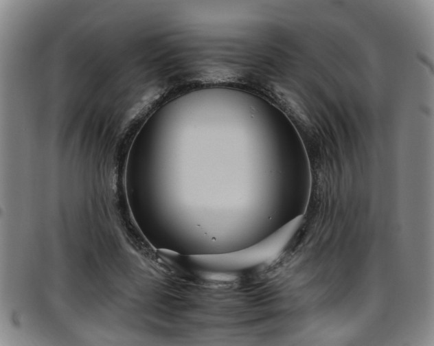 X0000096400539200801311353