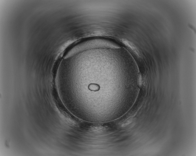 X0000096400540200801311353