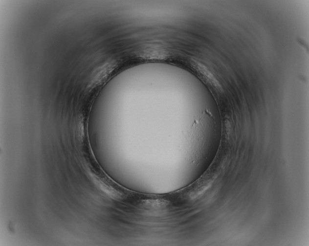 X0000096400541200801311353