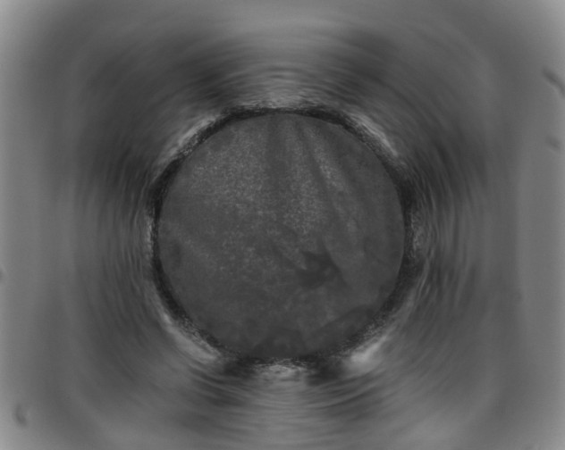 X0000096400542200801311353