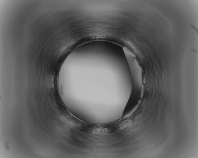 X0000096400543200801311353