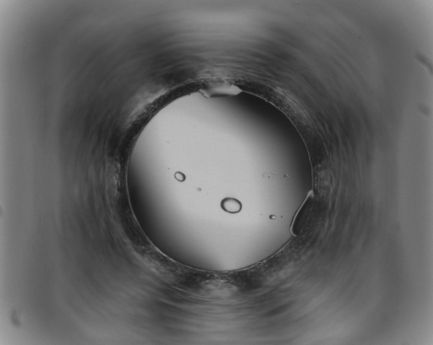 X0000096400544200801311353