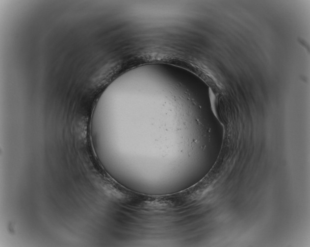 X0000096400545200801311353