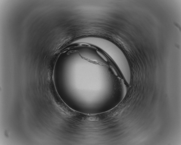 X0000096400546200801311353