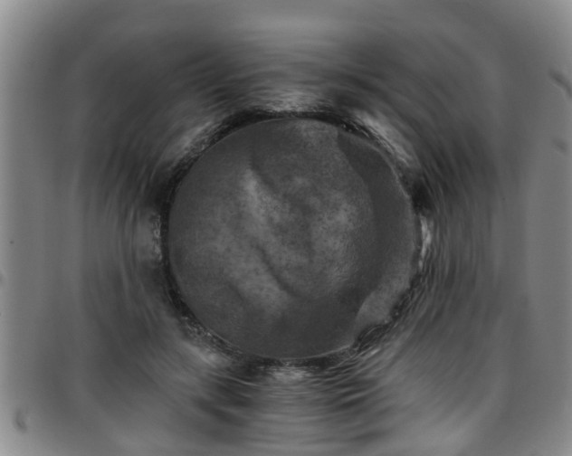 X0000096400547200801311353