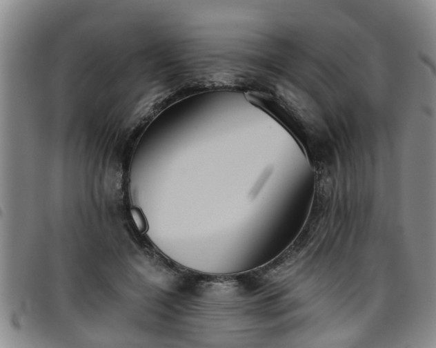 X0000096400548200801311353