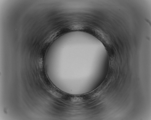 X0000096400549200801311353