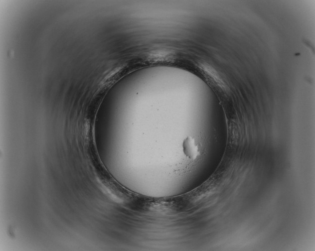 X0000096400550200801311353