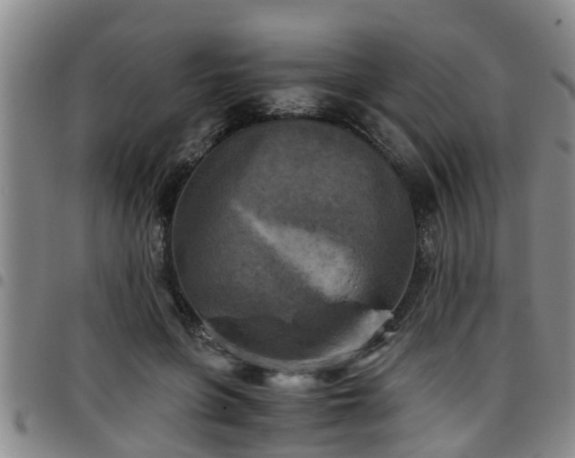 X0000096400551200801311353