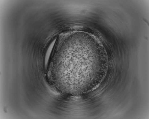 X0000096400552200801311353
