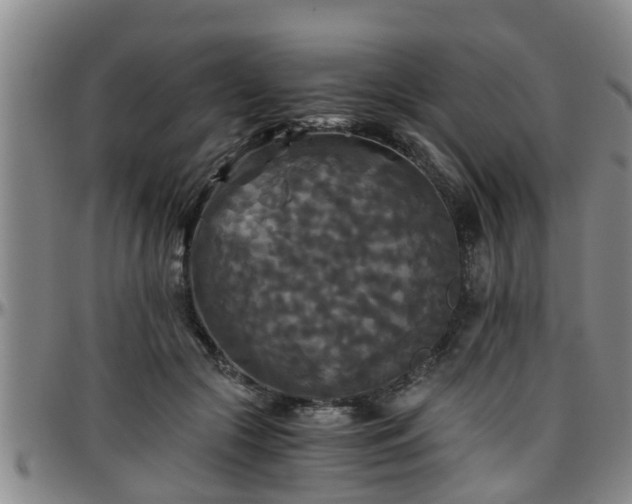 X0000096400553200801311353