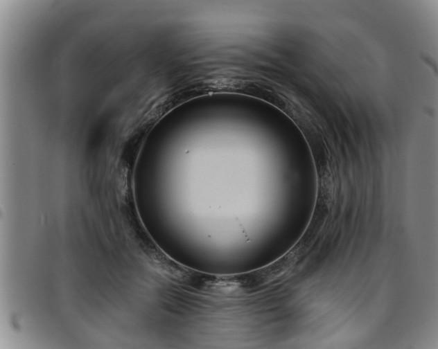 X0000096400554200801311353