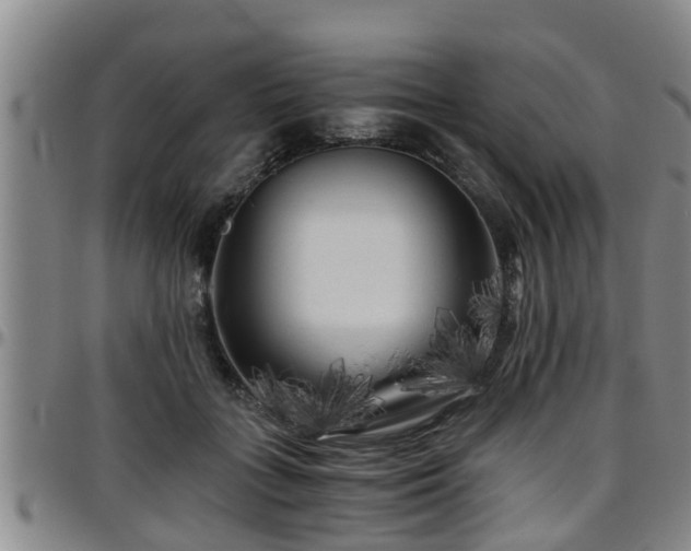 X0000096400555200801311353