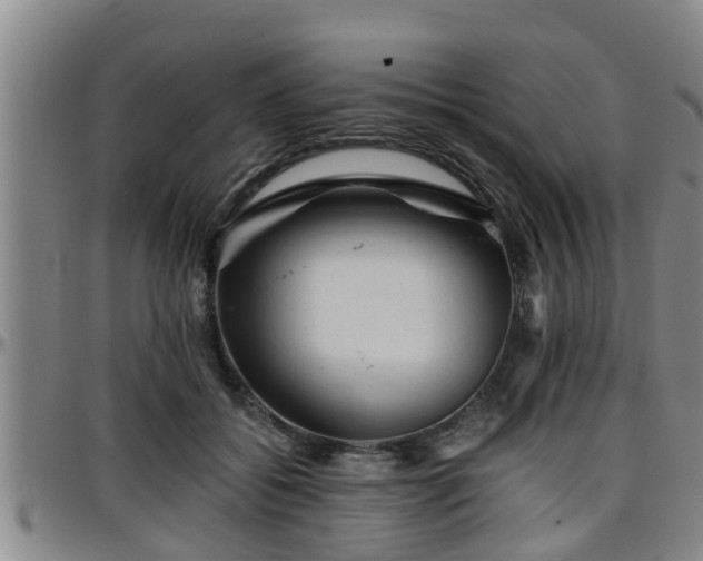 X0000096400556200801311353