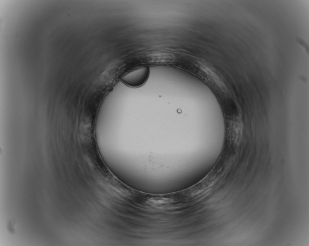 X0000096400557200801311353