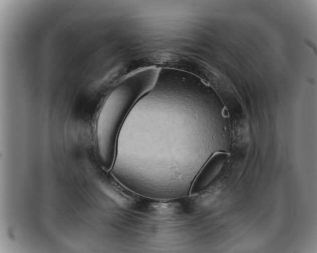 X0000096400558200801311353