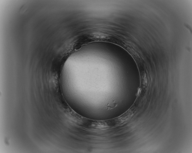 X0000096400559200801311353