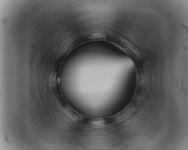 X0000096400560200801311353