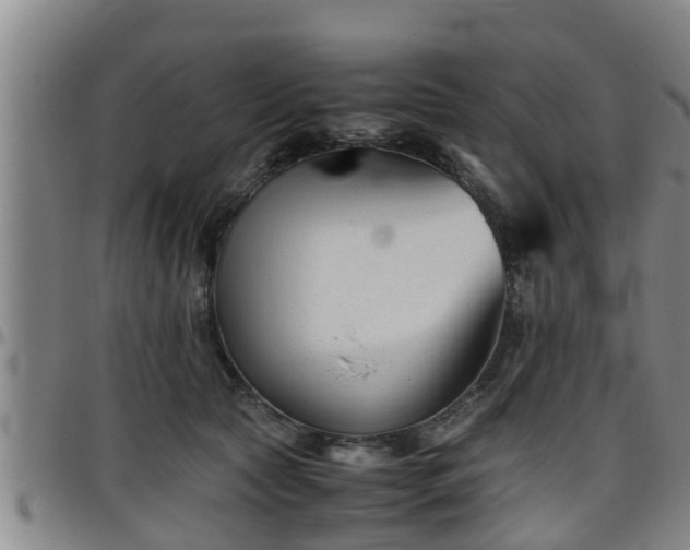 X0000096400561200801311353