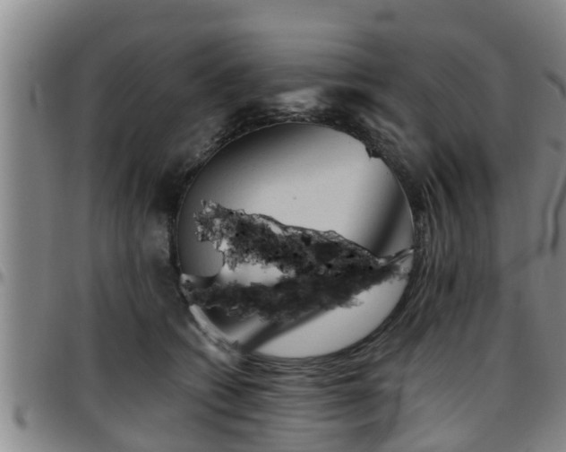 X0000096400562200801311353