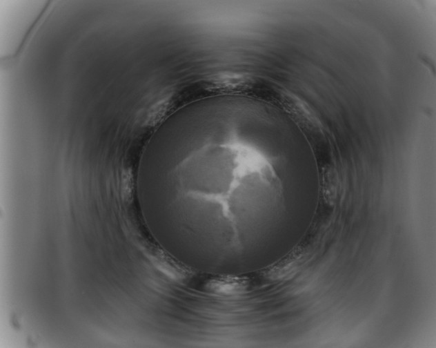 X0000096400563200801311353