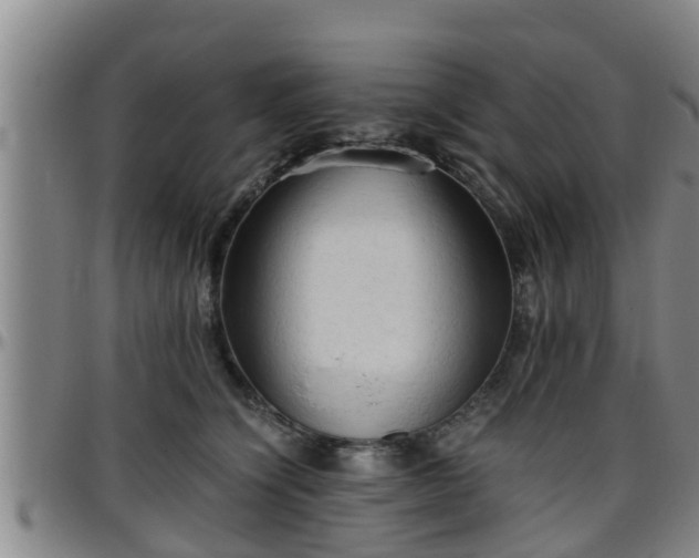 X0000096400564200801311353