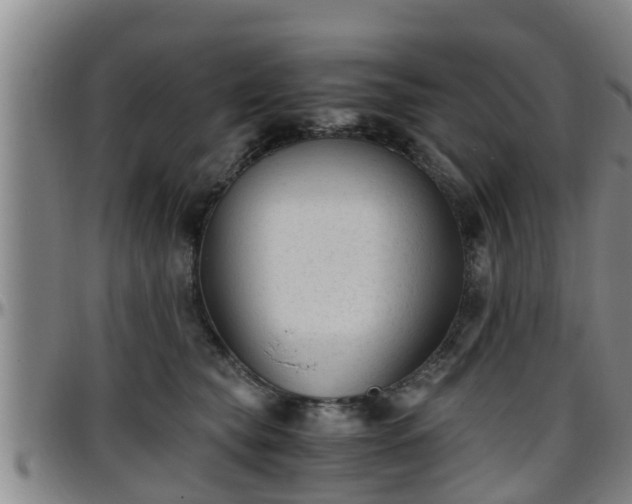 X0000096400565200801311353