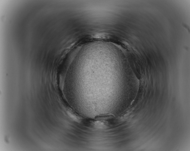 X0000096400566200801311353