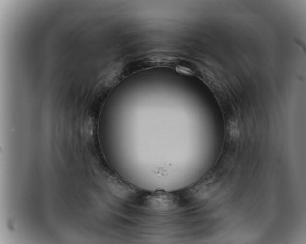 X0000096400567200801311353