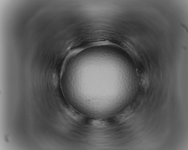 X0000096400568200801311353