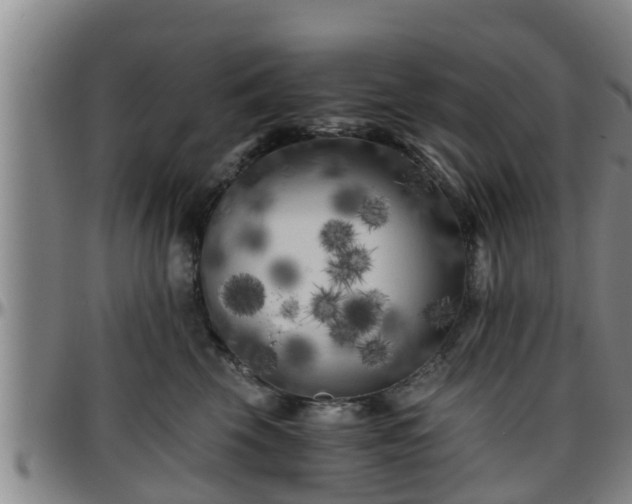 X0000096400569200801311353