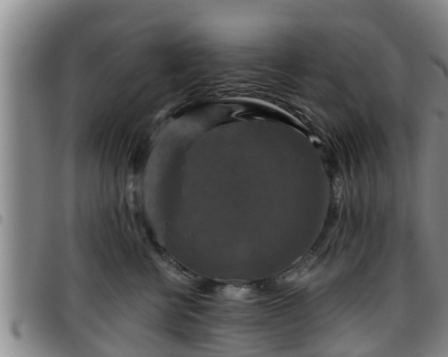 X0000096400570200801311353