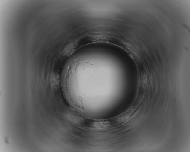 X0000096400571200801311353