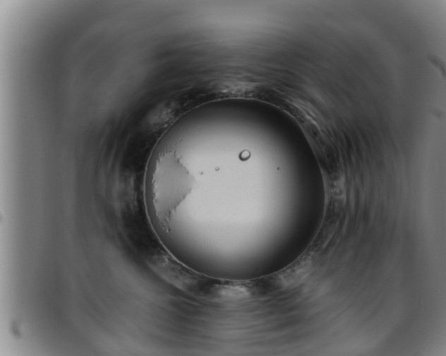 X0000096400572200801311353