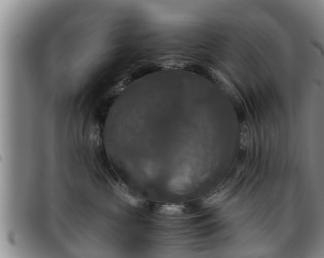 X0000096400573200801311354