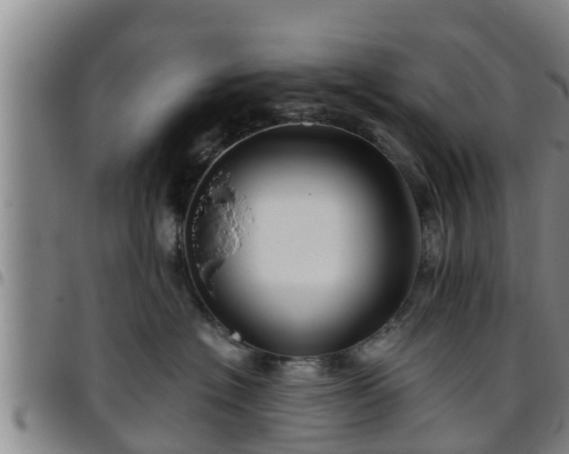 X0000096400574200801311354