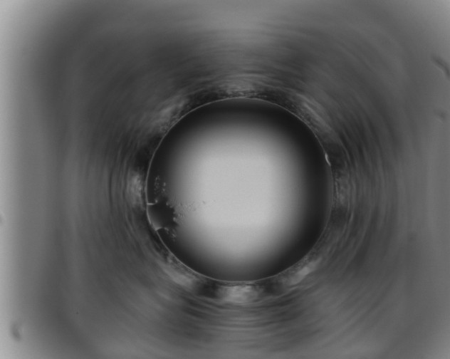 X0000096400575200801311354