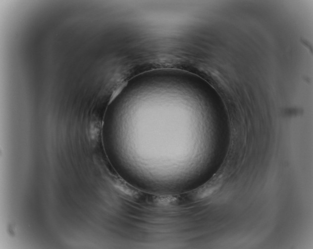 X0000096400576200801311354