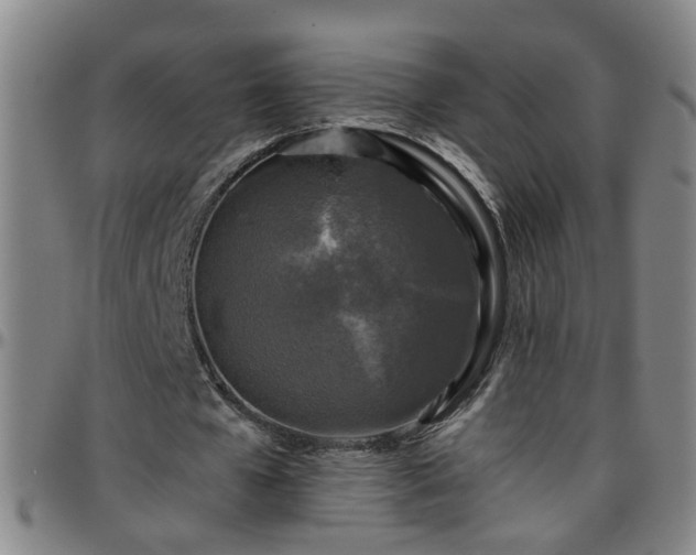 X0000096400577200801311353