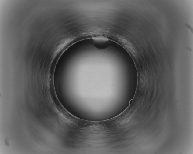 X0000096400578200801311353