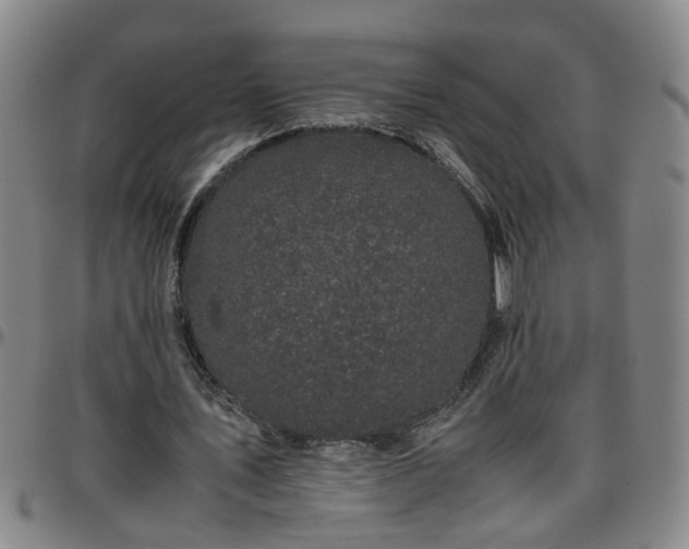 X0000096400579200801311353