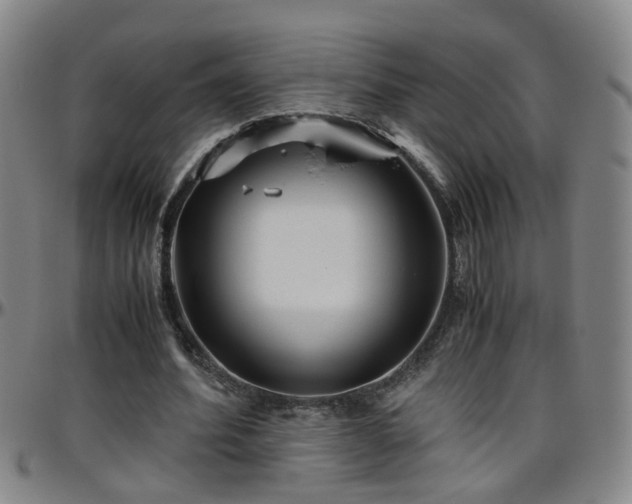 X0000096400580200801311353