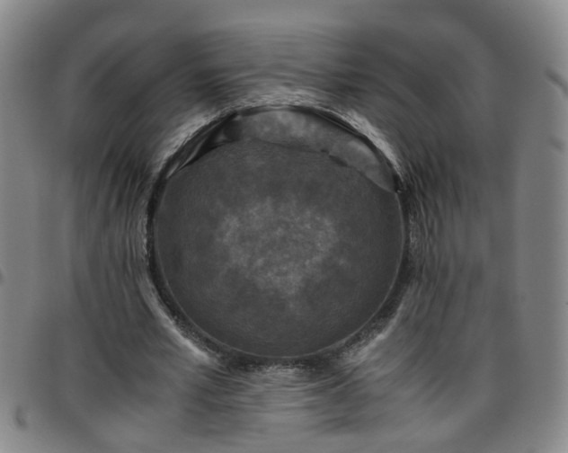 X0000096400581200801311353