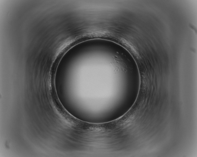 X0000096400582200801311353